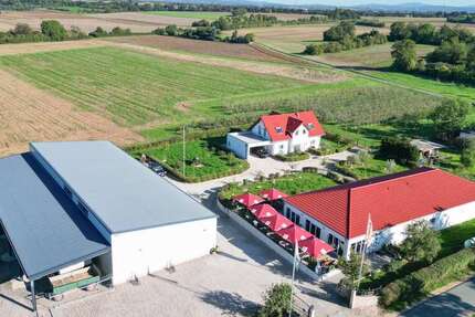 Grundstück Wiesbaden Mainz-Kastel - 2.500.000&euro; | Angebot:25998492