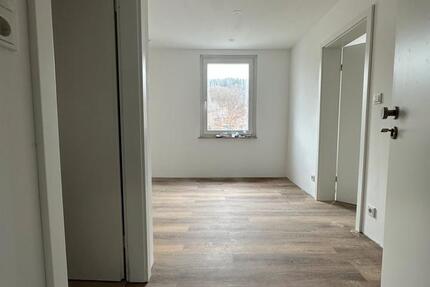 Kernsanierte 2-Zimmer Wohnung Herborn Schönbach