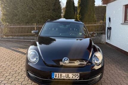 VW Beetle 157.000 km 5.000 &euro; Polling-Ehring 84570