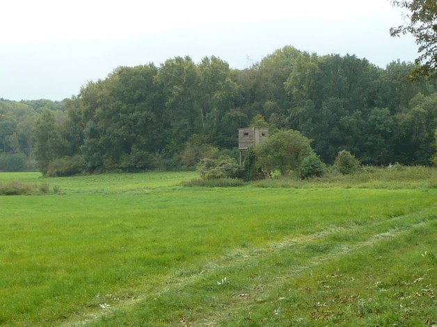 Alleinlage mit 100 qm Haus, Scheunen und 92 Hektar Land - Einfamilienhaus Uckerland | Angebot:19801660