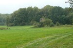Alleinlage mit 100 qm Haus, Scheunen und 92 Hektar Land - Einfamilienhaus Uckerland | Angebot:19801660