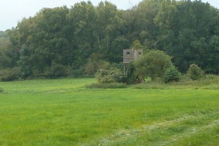 Alleinlage mit 100 qm Haus, Scheunen und 92 Hektar Land - Grundstück Uckerland | Angebot:19801660