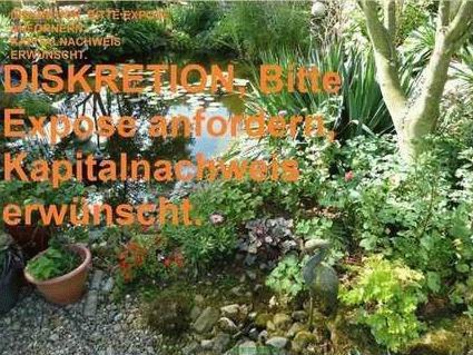 Alleinlage mit 100 qm Haus, Scheunen und 92 Hektar Land zimmer