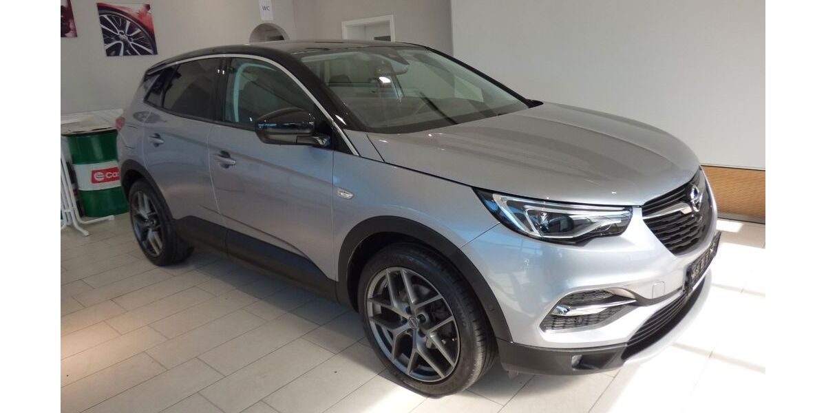 Opel Grandland (X) 78.940 km 14.999 &euro; Ahorntal 95491