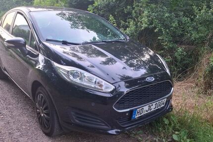 Ford Fiesta 184.000 km 5.100 &euro; Landau in der Pfalz 76829