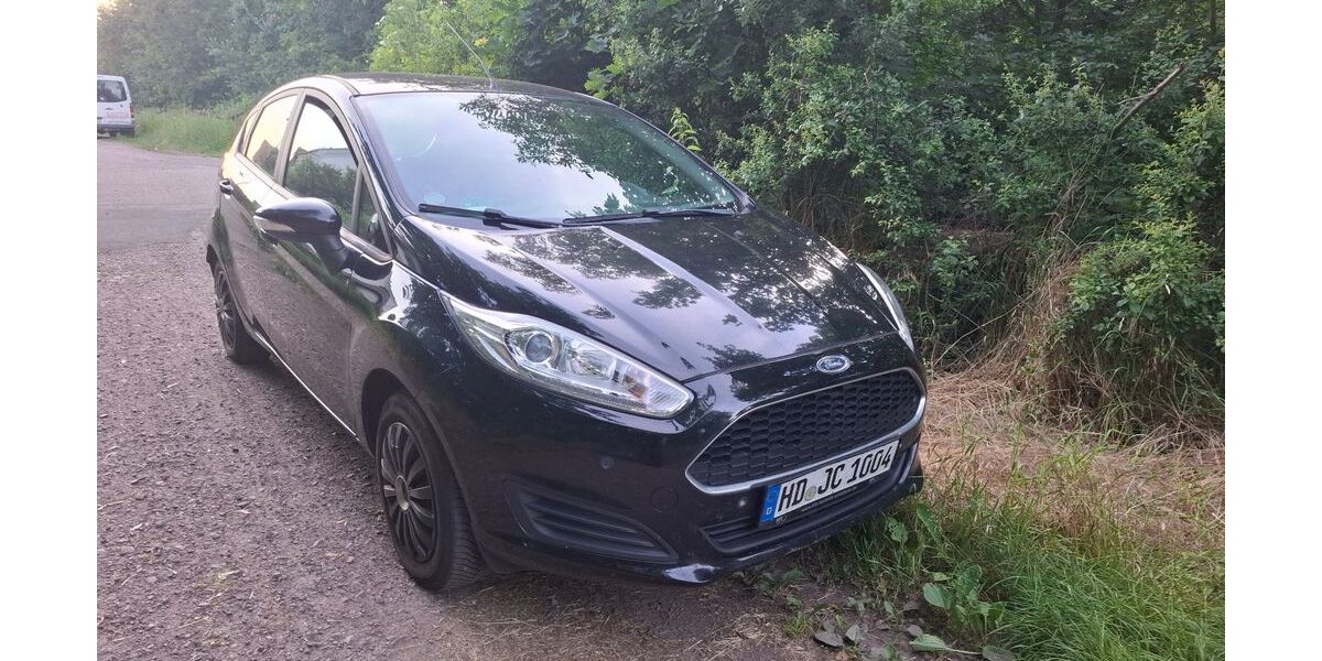 Ford Fiesta 184.000 km 5.100 &euro; Landau in der Pfalz 76829