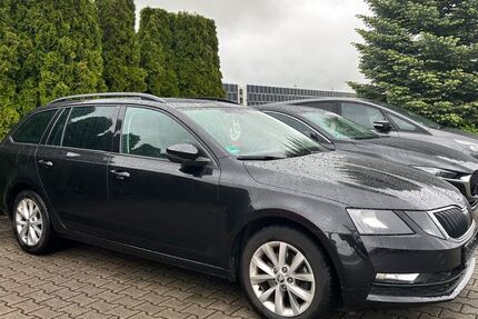 Skoda Octavia 64.569 km 18.999 &euro; Kabelsketal/OT Großkugel 06184