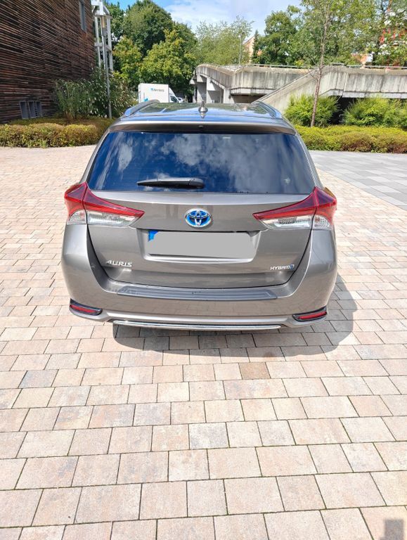 Auris