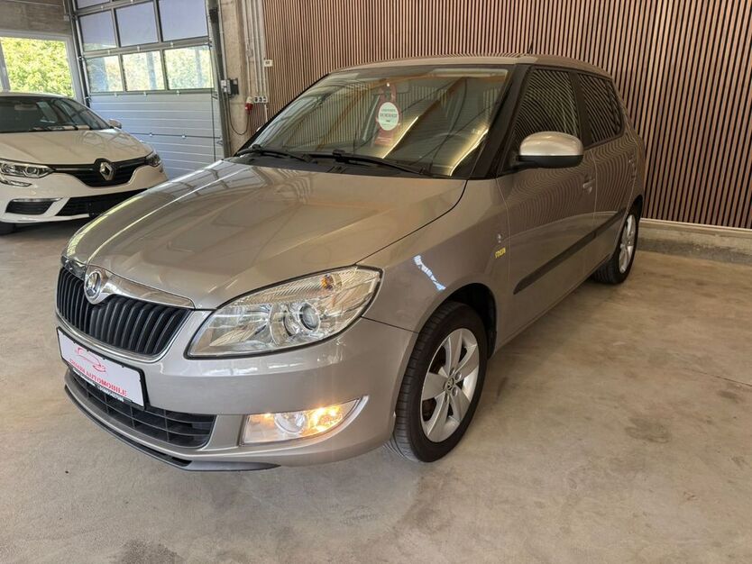 Skoda Fabia 162.379 km 4.599 € Horhausen 56593