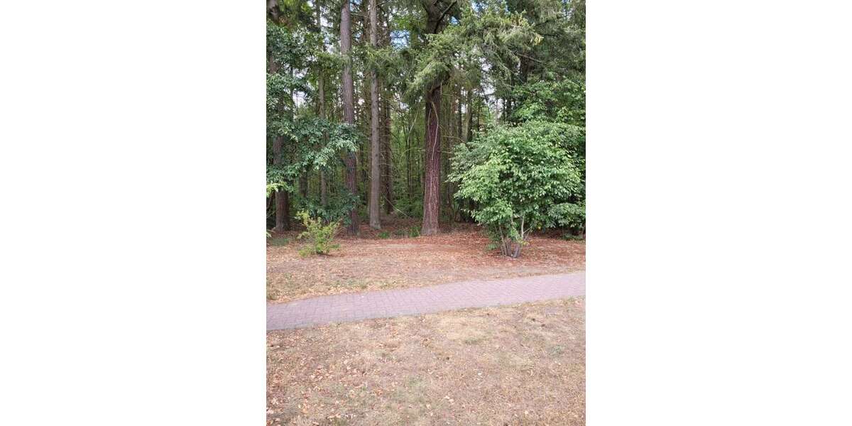 Etagenwohnung Grünheide - 2 Zimmer, 63 m&sup2;, 199.000&euro; | Angebot:23197323