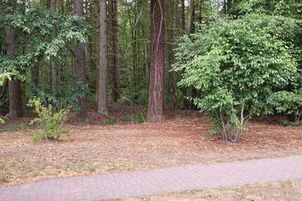 Wohnung Grünheide - 2 Zimmer, 63 m&sup2;, 199.000&euro; | Angebot:23197323