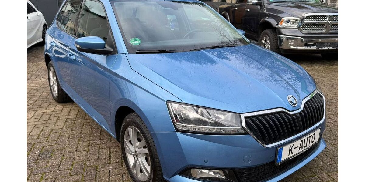 Skoda Fabia 106.300 km 10.900 &euro; Herne 44625