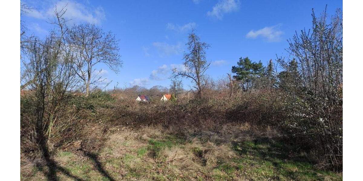 Grundstück Machern - 185.000&euro; | Angebot:24036204