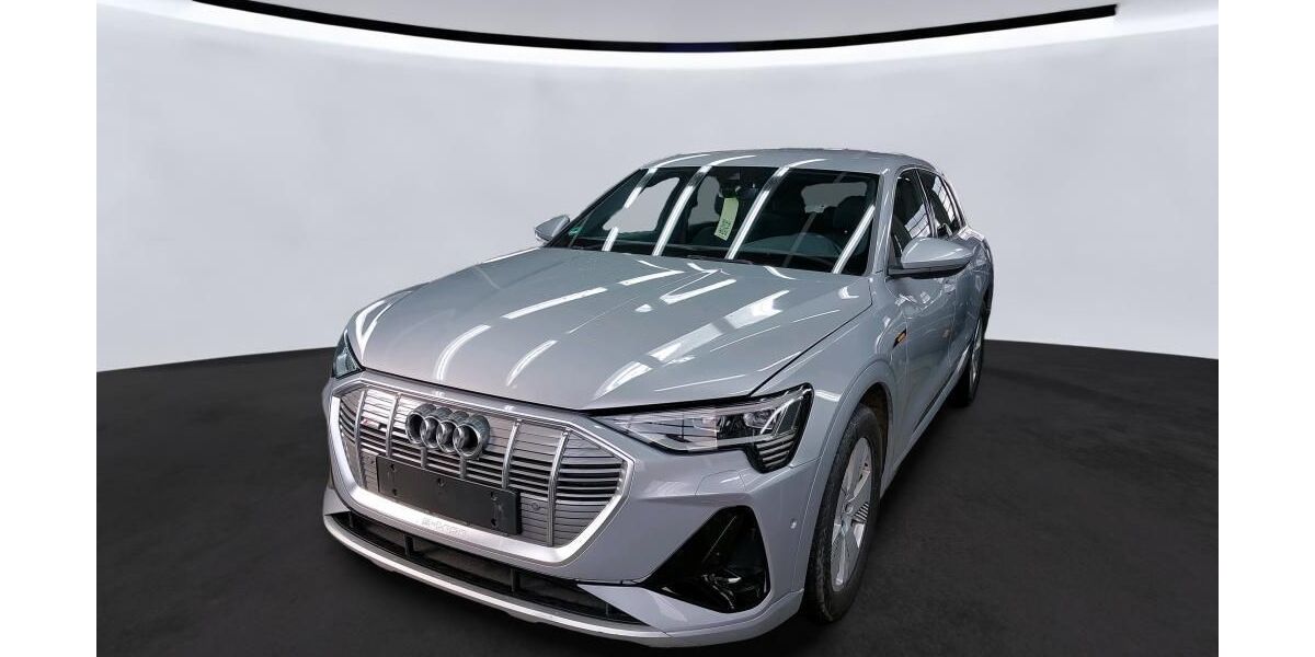 Audi e-tron 106.707 km 25.990 &euro; Nabburg 92507