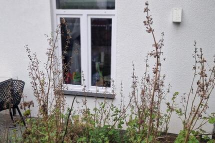 Gewerbeobjekt Menden (Sauerland) - 900&euro; | Angebot:24804441