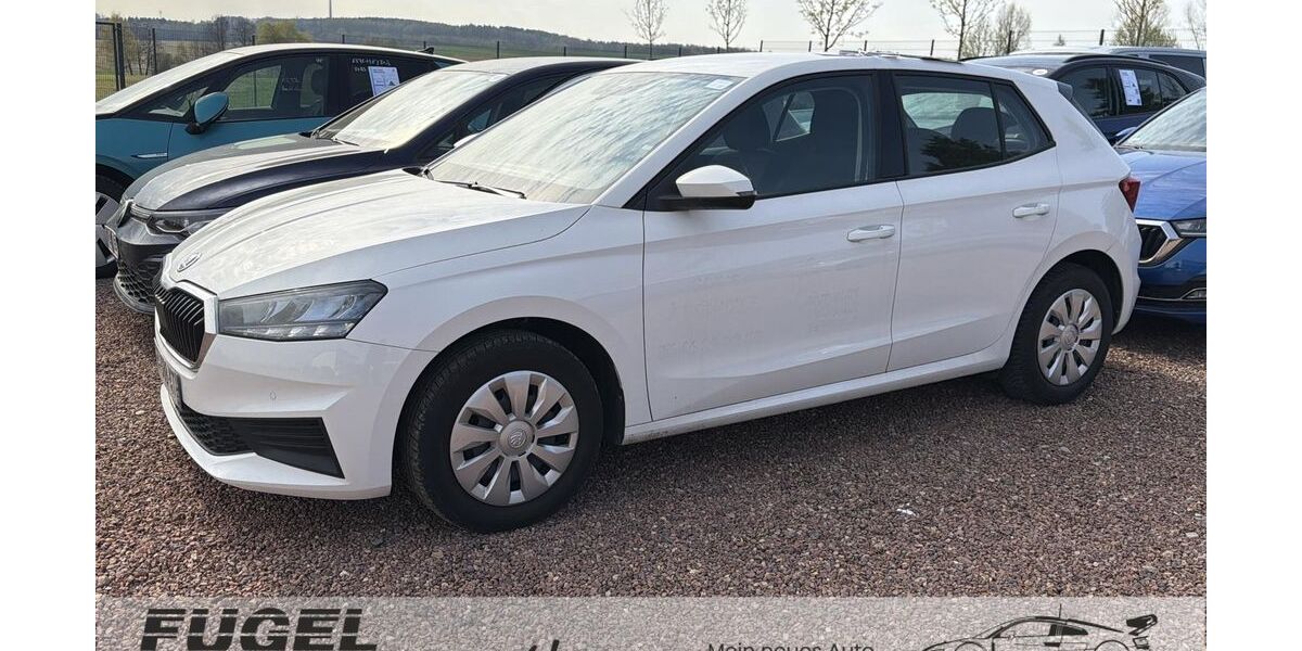 Skoda Fabia 58.160 km 11.499 &euro; Dresden 01157