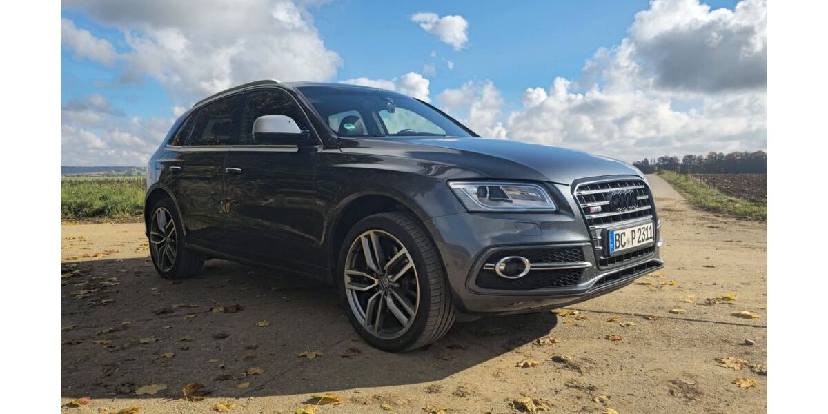 Audi SQ5 120.000 km 23.000 &euro; Ingoldingen 88456