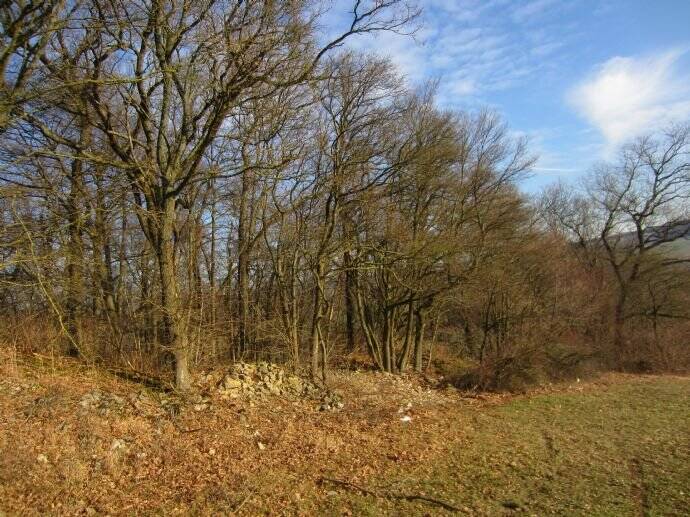 Grundstück Widdern - 25.000&euro; | Angebot:25700084