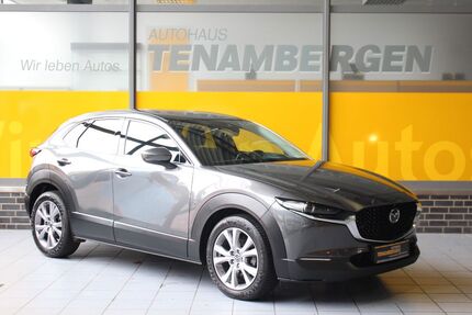 Mazda CX-3 52.800 km 21.900 &euro; Mettingen 49497