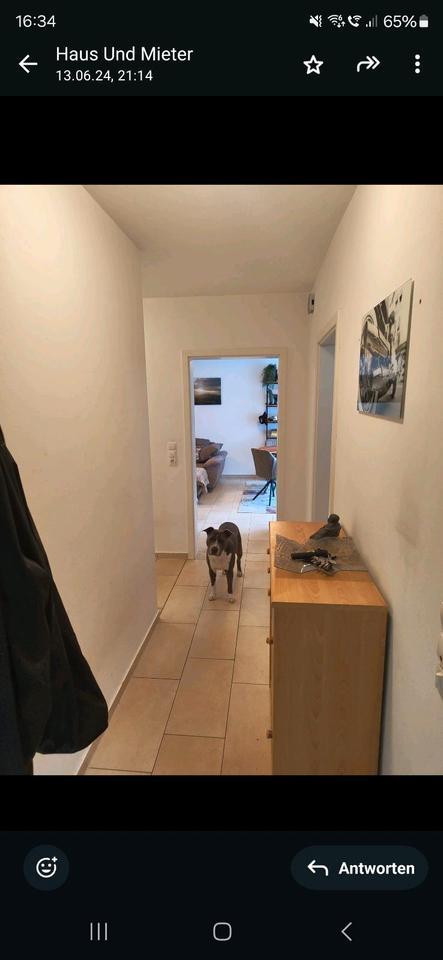 2 Zimmer Erdgeschoss Wohnung 75qm