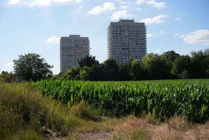 Wohnung Ludwigshafen am Rhein Ludwigshafen-Friesenheim - 2 Zimmer, 67 m&sup2;, 160.000&euro; | Angebot:27398364