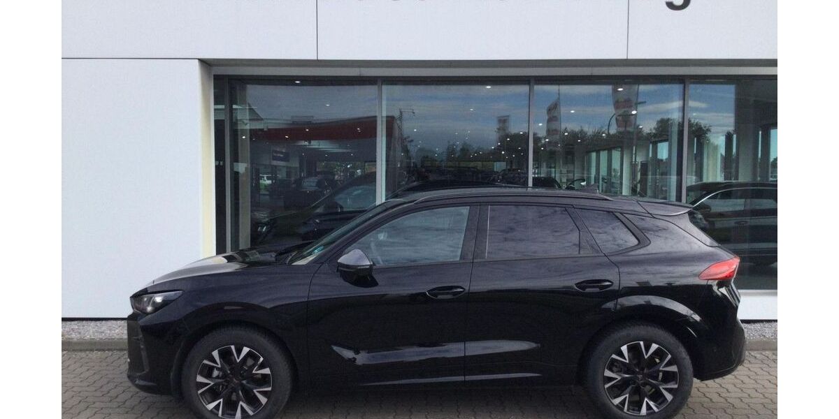 Cupra Terramar 21.200 km 32.990 &euro; Niebüll 25899