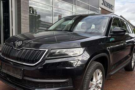 Skoda Kodiaq 173.100 km 16.500 € Ibbenbüren 49477