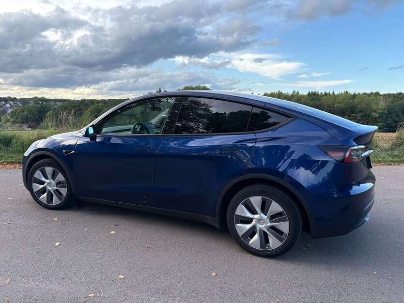 Model Y