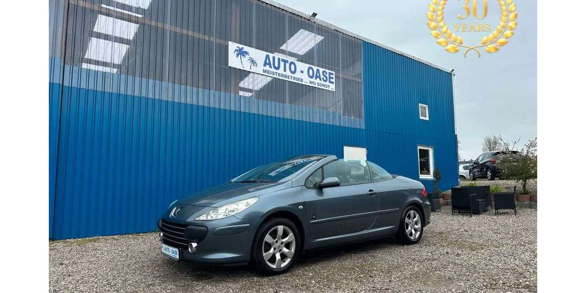 Peugeot 307 161.455 km 4.990 &euro; Flensburg 24941