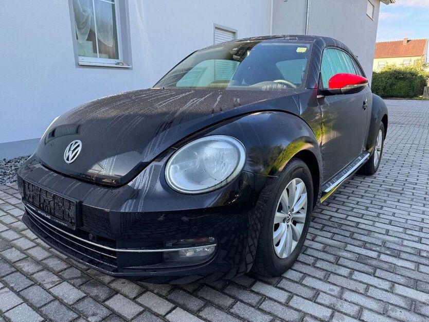 Beetle
