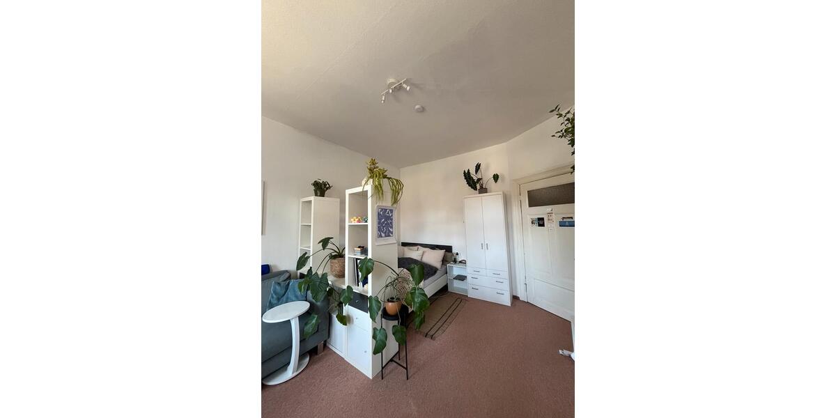 Etagenwohnung Wernigerode - 1 Zimmer, 16 m&sup2;, 255&euro; | Angebot:26690484
