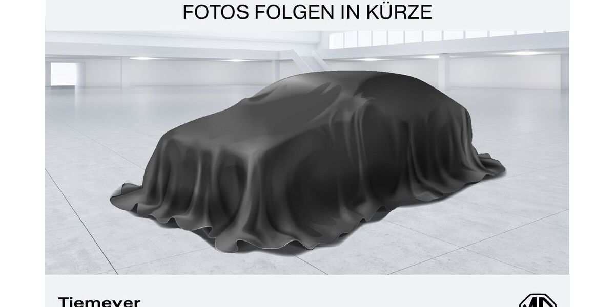 MG Andere 2.900 km 41.850 &euro; Hemer 58675