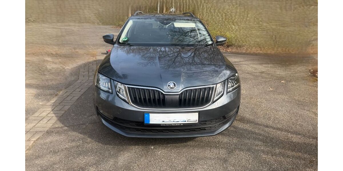 Skoda Octavia 199.000 km 12.000 &euro; Adendorf 21365