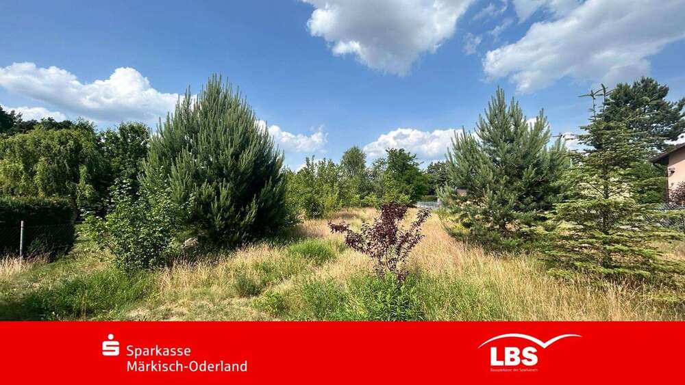 Grundstück Lichtenow Lichtenow - 160.000&euro; | Angebot:25198338