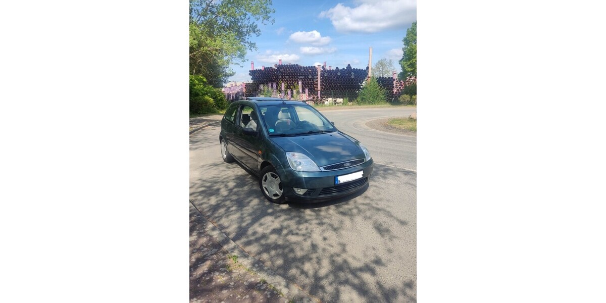 Ford Fiesta 193.800 km 1.400 € Grünheide (Mark) 15537