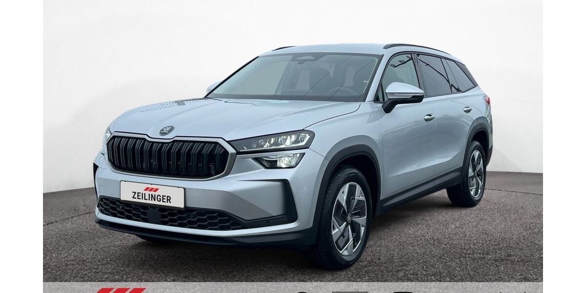 Skoda Kodiaq 1.100 km 41.997 &euro; Dietersheim 91463