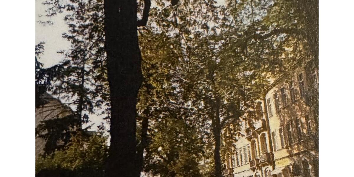 Erdgeschoßwohnung Dresden Blasewitz - 2 Zimmer, 47 m&sup2;, 550&euro; | Angebot:26301253