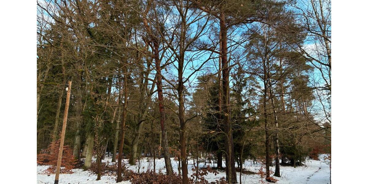 Grundstück Klötze - 15.000&euro; | Angebot:24832010