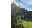 Einfamilienhaus Chorin - 3 Zimmer, 78 m&sup2;, 299.000&euro; | Angebot:27118559
