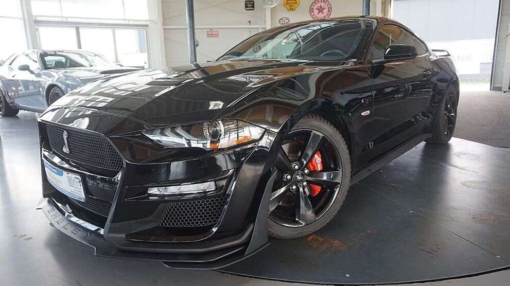 Mustang
