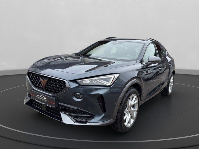 Cupra Formentor 119.961 km 20.970 &euro; Sigmaringen 72488