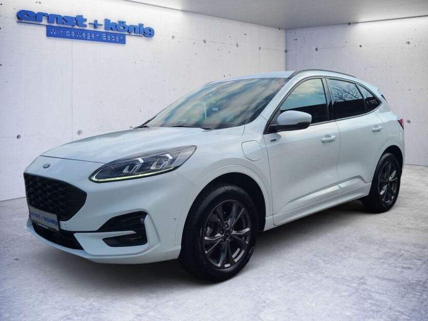 Kuga