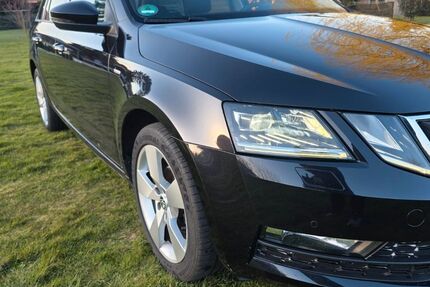 Skoda Octavia 167.000 km 10.999 &euro; Pätow 19230