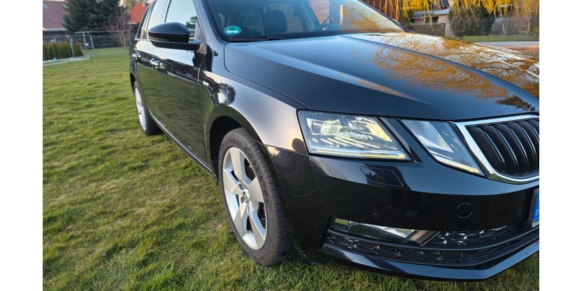Skoda Octavia 167.000 km 10.999 &euro; Pätow 19230