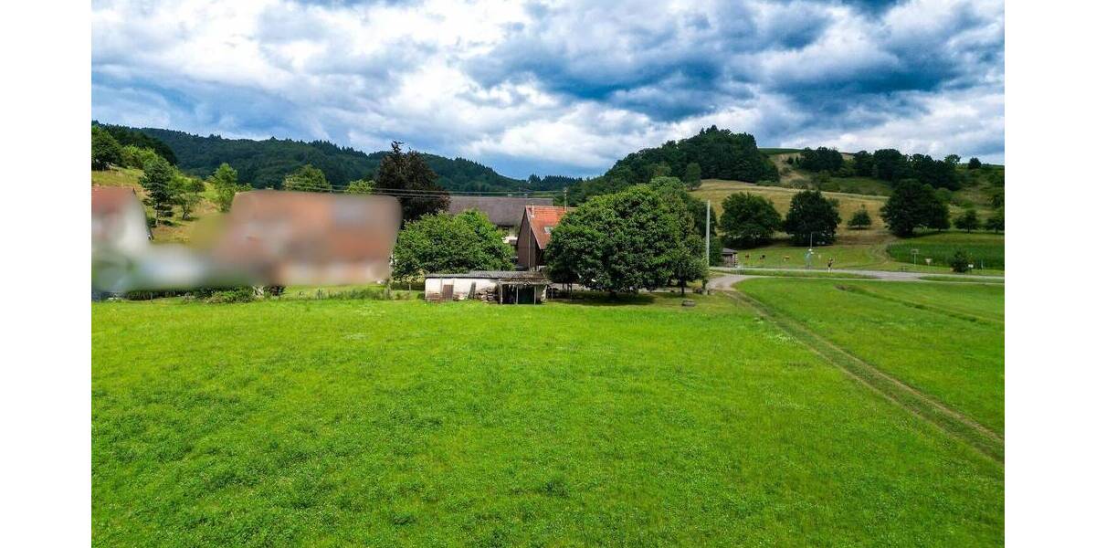 RESERVIERT-Großzügiges Baugrundstück mit Wiesengrundstücken & Wohnhaus in idylischer Lage von Sexau zimmer