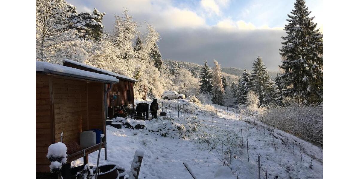 Einfamilienhaus Biedenkopf - 3 Zimmer, 100 m&sup2;, 298.000&euro; | Angebot:26510910