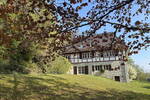 Einfamilienhaus Westhausen Bohler - 1 Zimmer, 312 m&sup2;, 885.000&euro; | Angebot:26797237