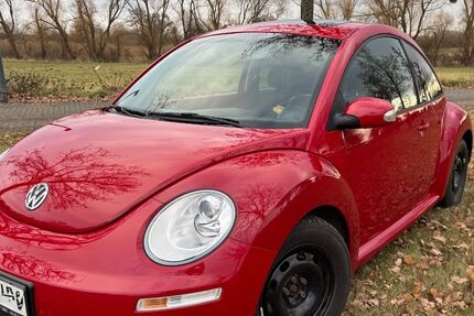 VW Beetle 58.000 km 6.500 &euro; Dresden 01109