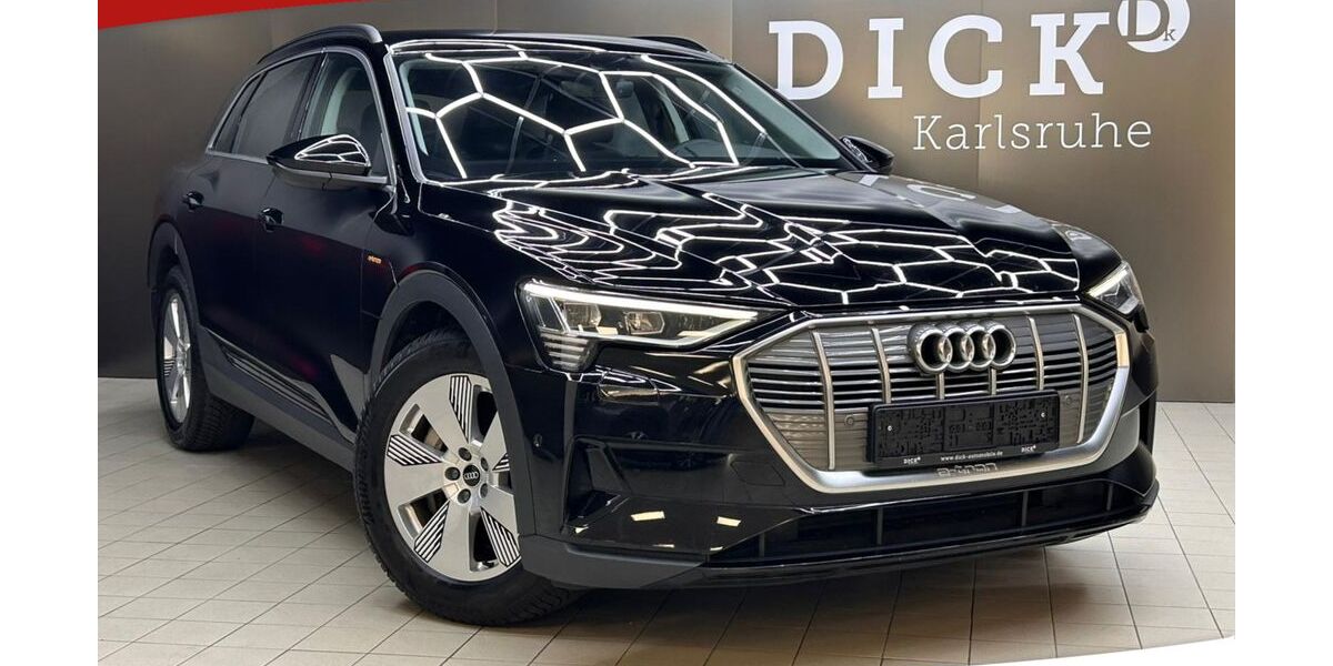 Audi e-tron 69.102 km 30.950 &euro; Karlsdorf-Neuthard 76689