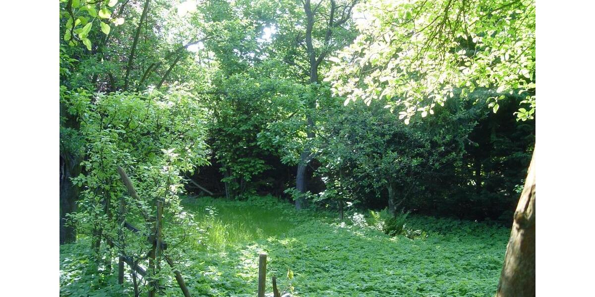Villa Wolfenbüttel Ahlum - 12 Zimmer, 300 m&sup2;, 555.555&euro; | Angebot:27002061